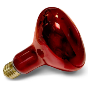 zarowka-do-lamp-grzewczych